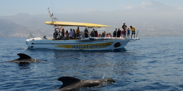Barco Masca Express